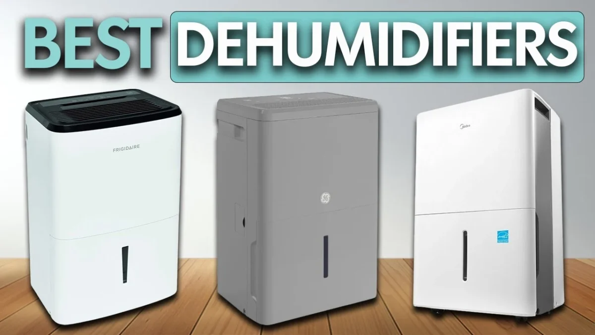 Best Electric Dehumidifier