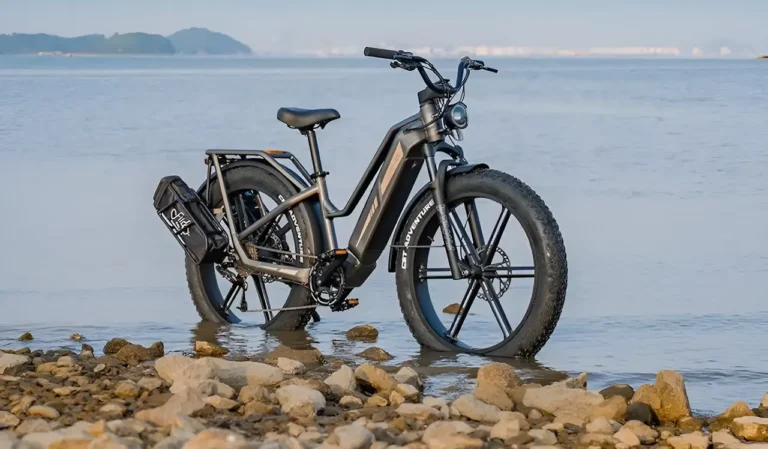 Fiido Titan Robust Cargo Electric Bike