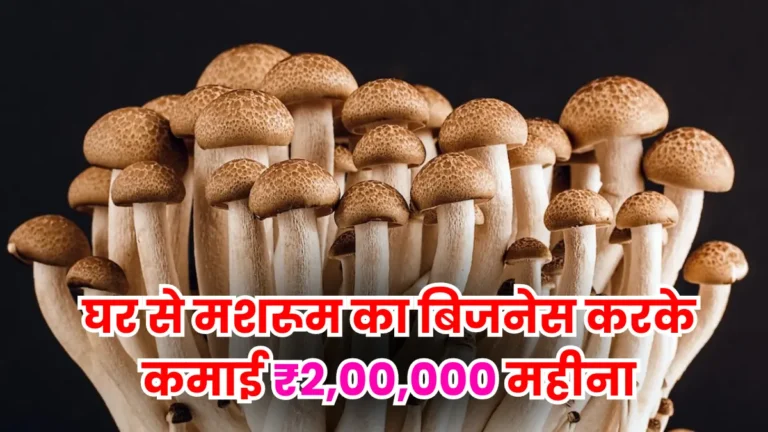Mushroom Business Idea